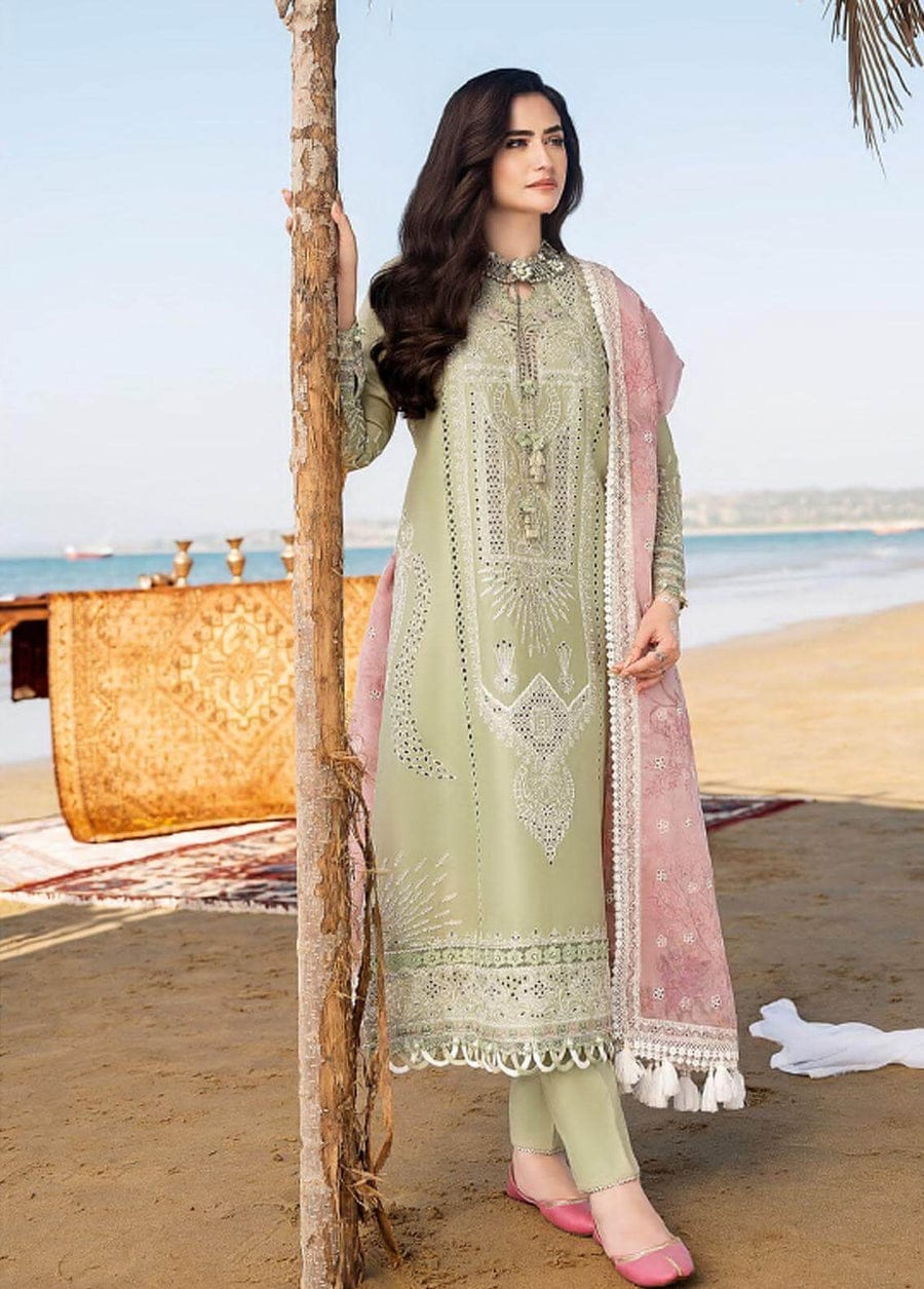 RR-CH10 Embroidered ChickenKari Lawn Suit With Printed Organza Dupatta