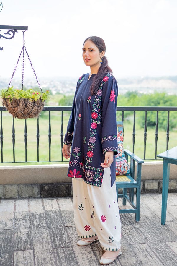 RR-MB70 Lawn Fully Embroidered 2pc