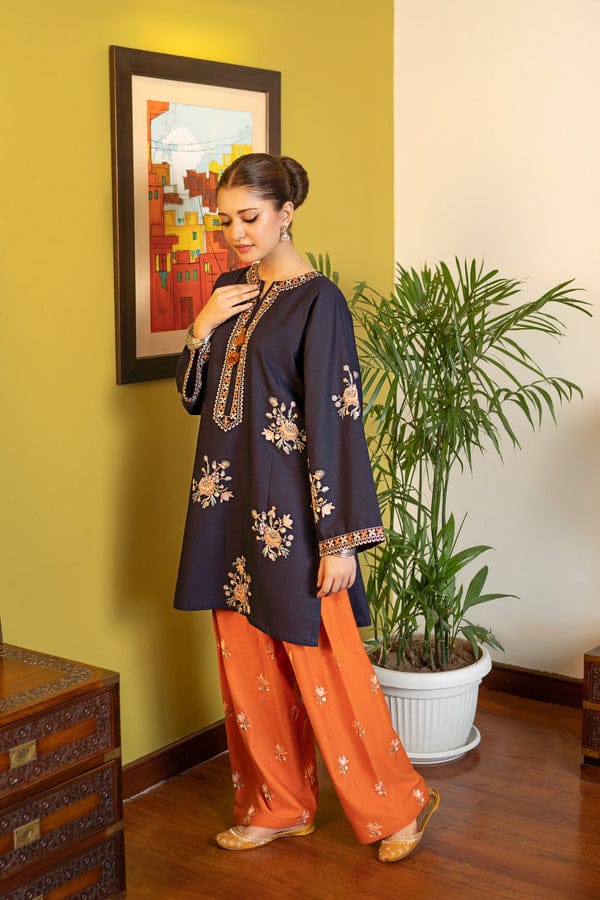 RR-MB75 Lawn Fully Embroidered 2pc