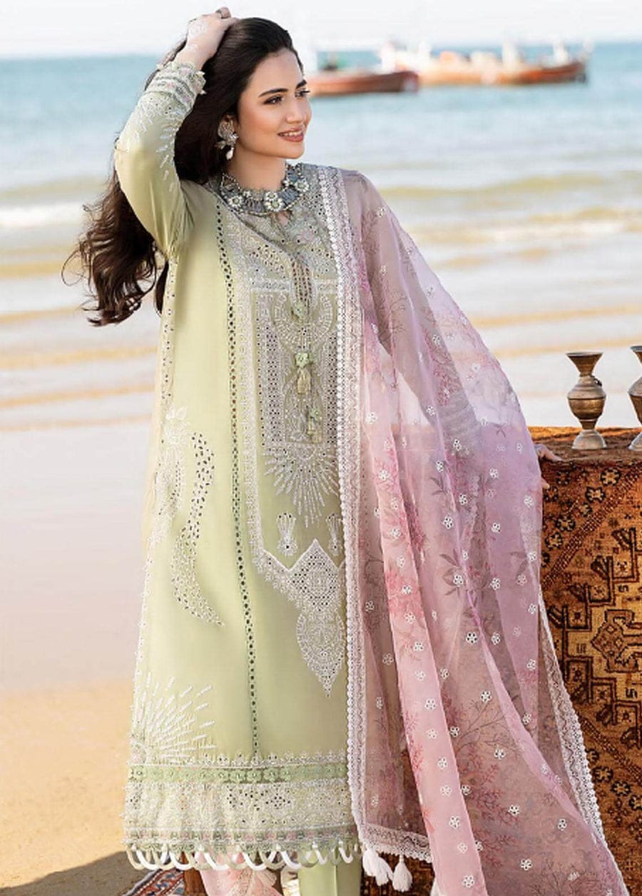 RR-CH10 Embroidered ChickenKari Lawn Suit With Printed Organza Dupatta
